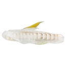 15 Cucchiai Compostabili Green Oasis
